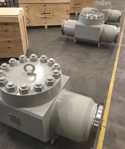 Industrial check valves